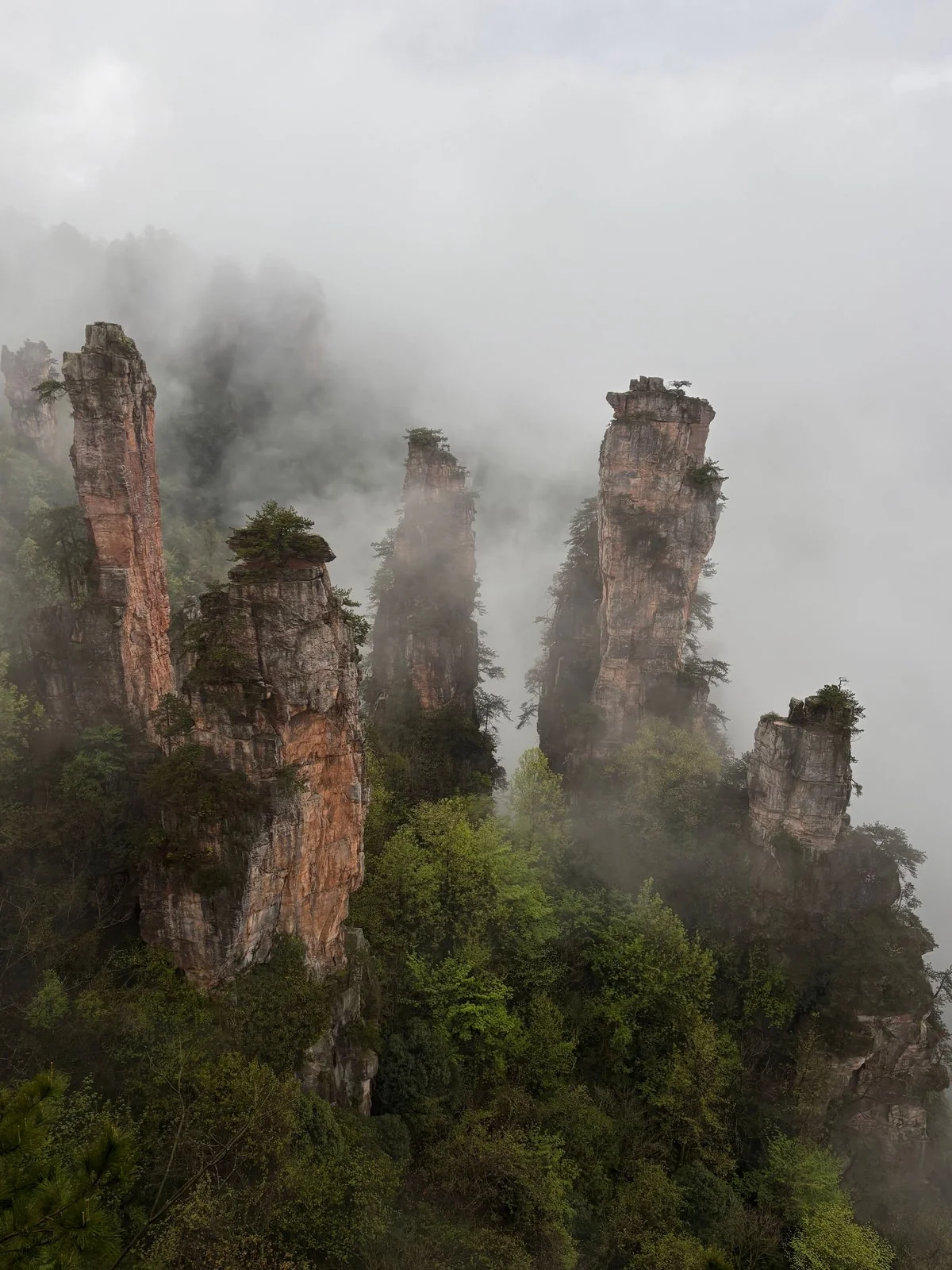 Zhangjiajie Avatar Mountains Tour — UNESCO Sandstone Pillars & Glass Bridge Thrills — photo 1 of 4 (gallery)