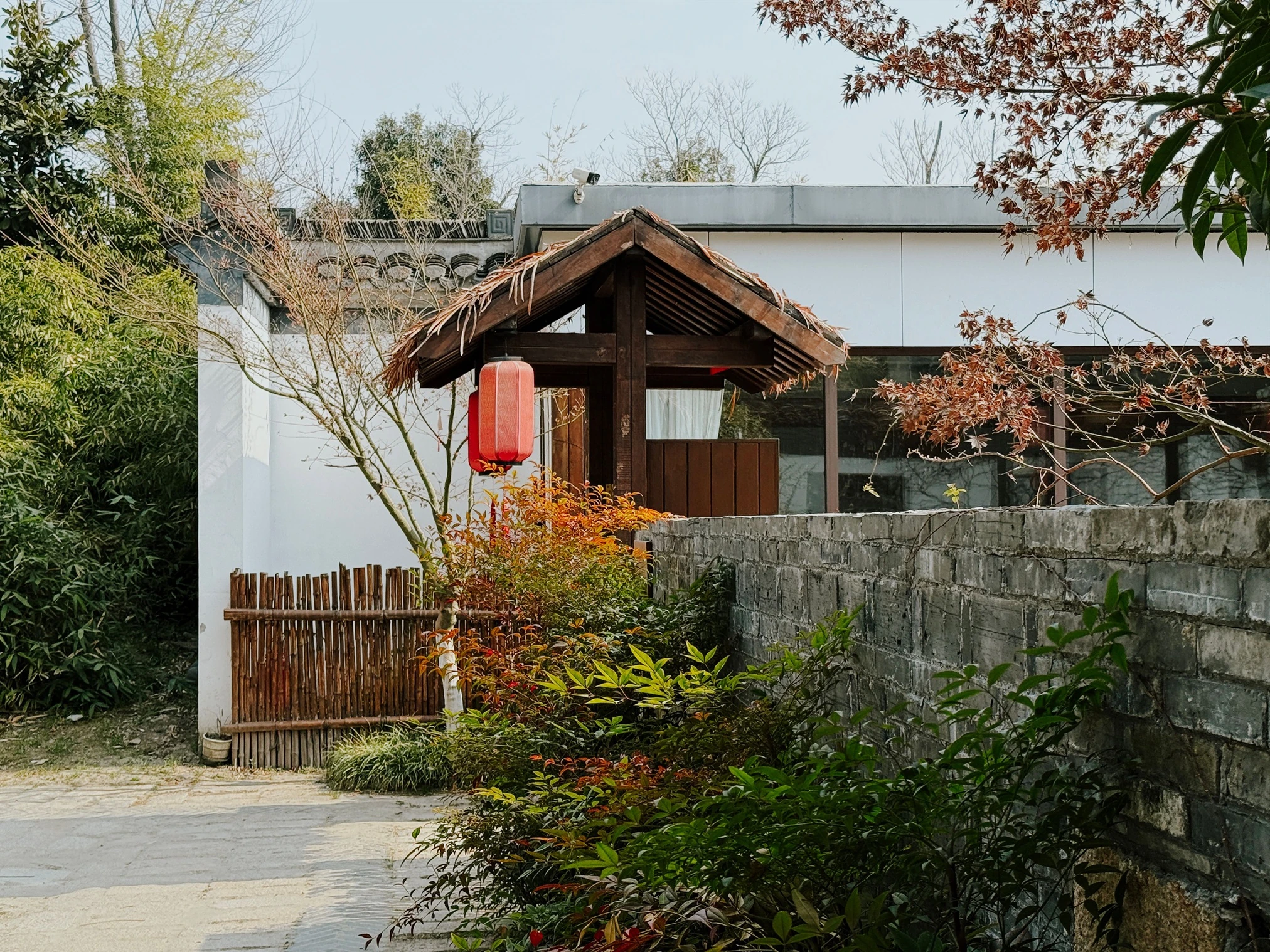 Chinese traditional wellness retreat — Cultural Immersion Experiences (scene photo 2)