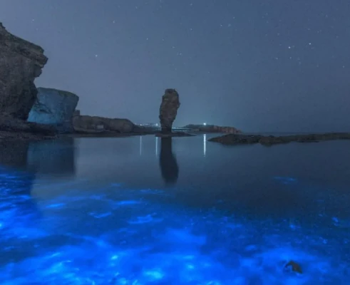 Pingtan Island Blue Tears — IP-Derived Trend Travel Spots (scene thumbnail)
