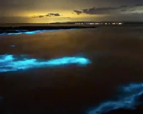Pingtan Island Blue Tears — IP-Derived Trend Travel Spots (scene photo)