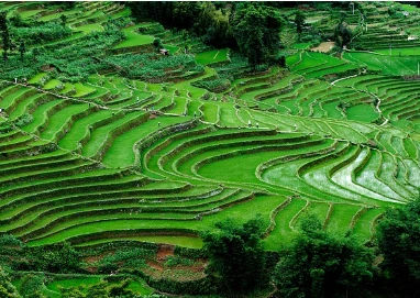 Yuanyang Rice Terraces, Yunnan — Underrated City & Natural Destinations (scene thumbnail)