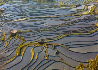Yuanyang Rice Terraces, Yunnan — Underrated City & Natural Destinations (scene photo)