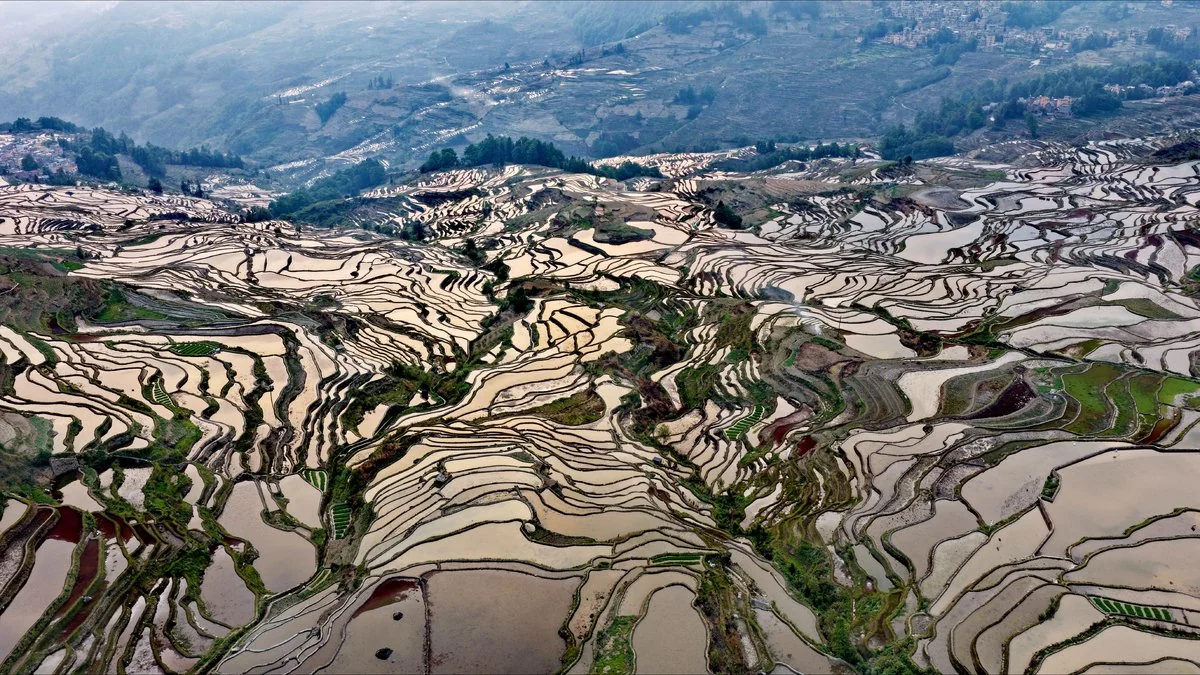 Yuanyang Rice Terraces — photo 2 of 4 (gallery)