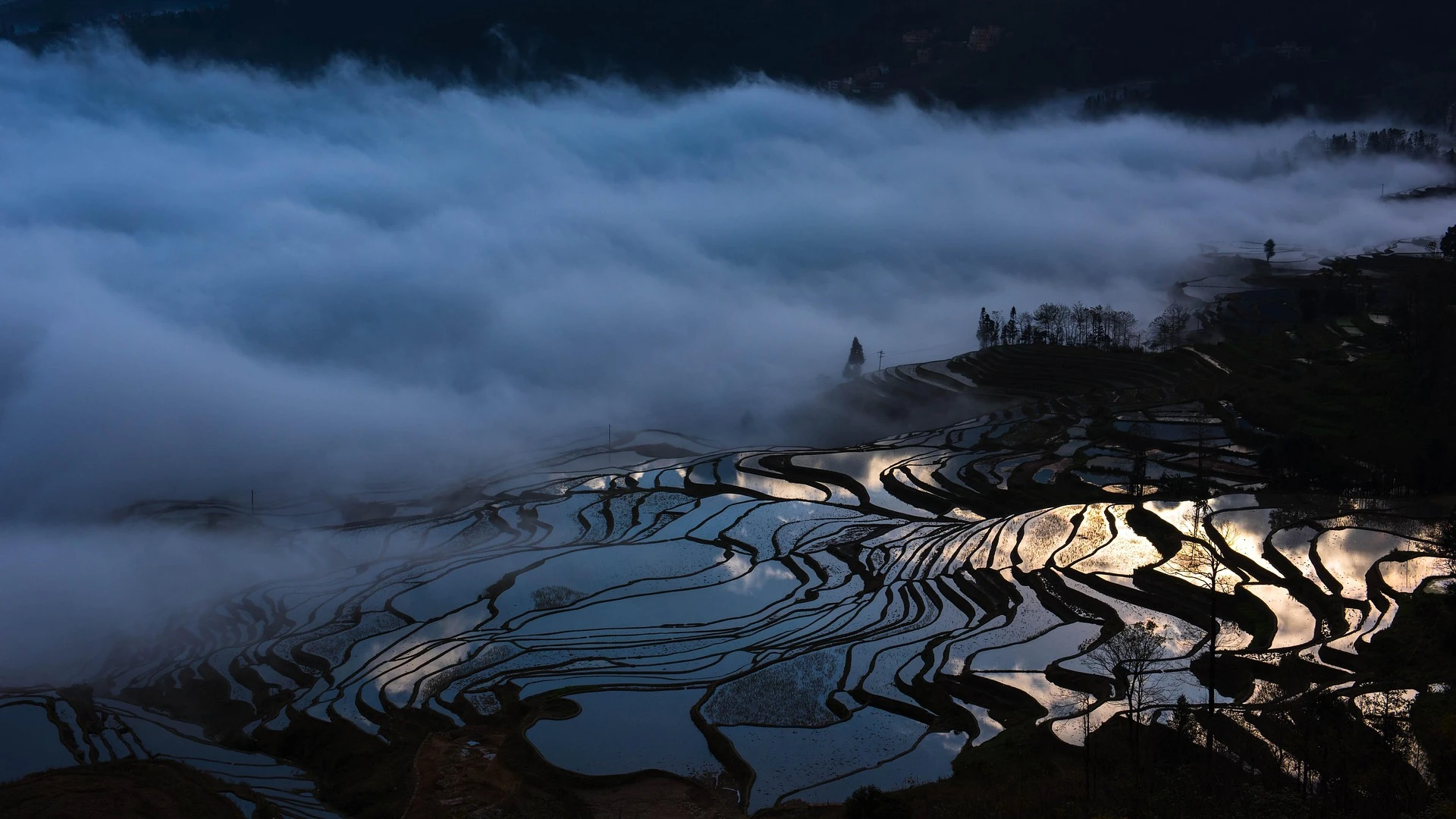 Yuanyang Rice Terraces — photo 3 of 4 (gallery)